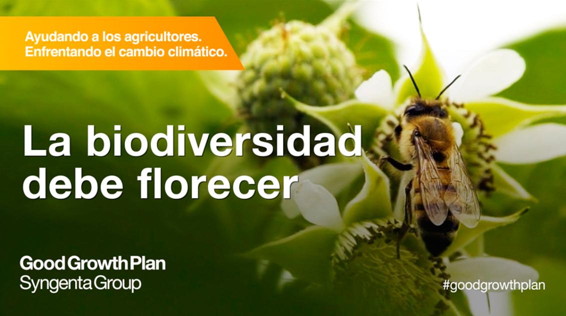 operación polinizador 1