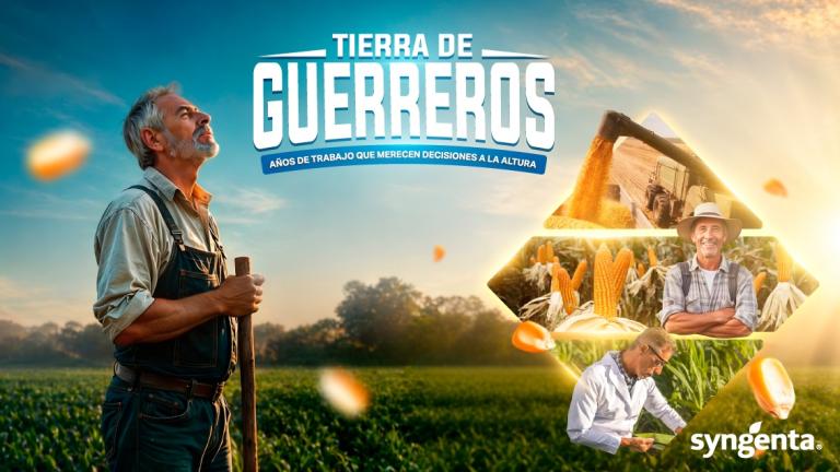 Agricultor en un campo al atardecer; a la derecha, fotos de personas y logo Syngenta.