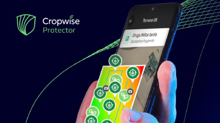Gráfico de ciberseguridad: mano con móvil y escudo “Cropwise Protector” sobre fondo azul
