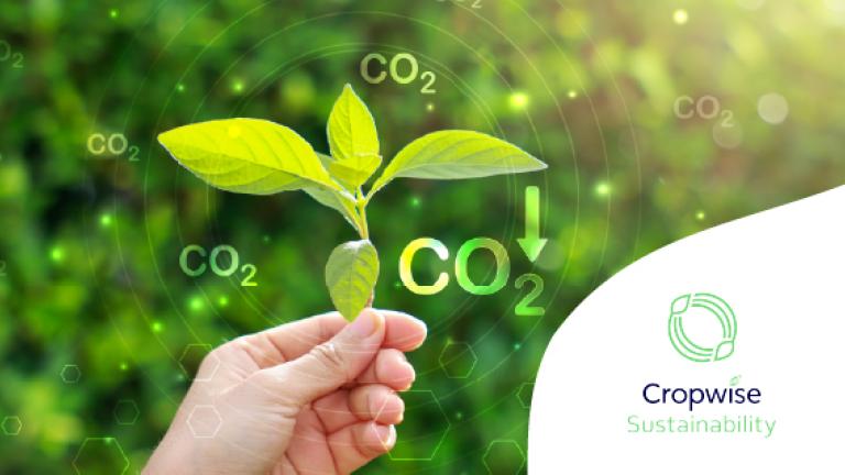 Mano sosteniendo brote verde con “CO₂” sobre fondo natural; logo de Cropwise Sustainability