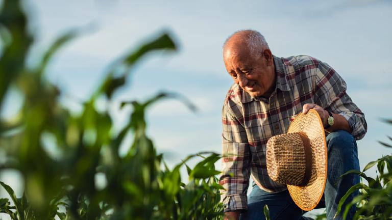 Agricultor con sombrero de paja revisa plantas en un campo verde bajo cielo azul.