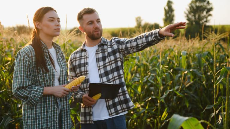 Dos agricultores revisan un cultivo de maíz; él señala al horizonte al atardecer.