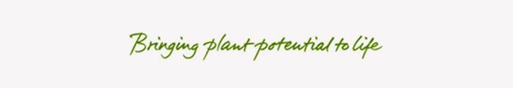 Texto “Bringing plant protein to life” con trazos verdes y amarillos sobre fondo blanco
