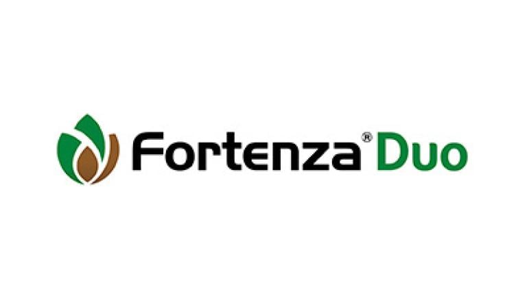 logo fortenza duo