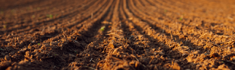 Surcos de tierra en un campo arado al atardecer, tonos marrones y dorados.